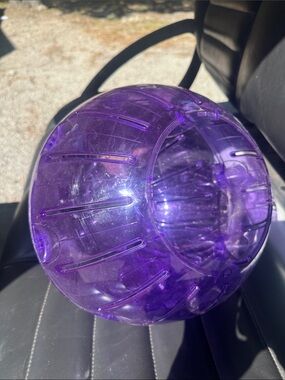 Purple Transparent exercise ball- Brand for Guinea pig